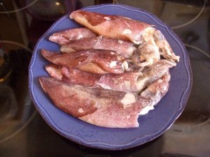 calamari recipe 1